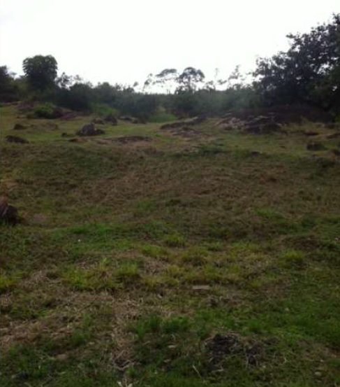 Terreno em Condomnio - Venda - Vale das Laranjeiras - Indaiatuba - SP