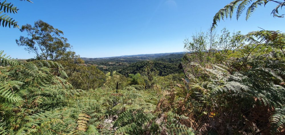 Terreno em Condomnio - Venda - Pau Arcado - Campo Limpo Paulista - SP