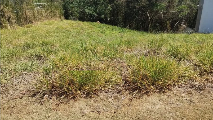 Terreno em Condomnio - Venda - Campo Largo - Jarinu - SP