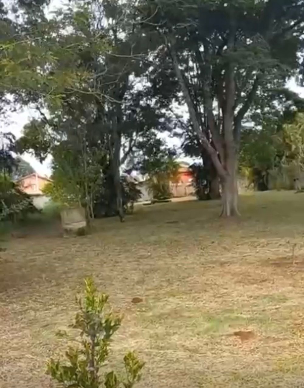 Chcara - Venda - Maracan - Jarinu - SP