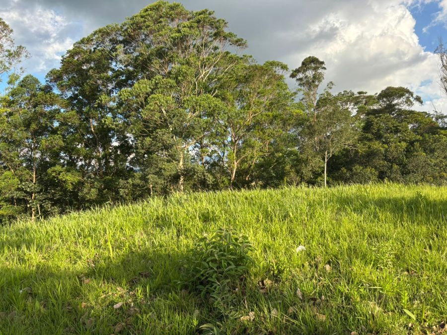 Terreno em Condomnio - Venda - Campo Largo - Jarinu - SP