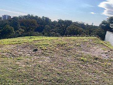 Bosque do Horto