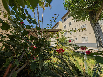 Apartamento Residencial Iris